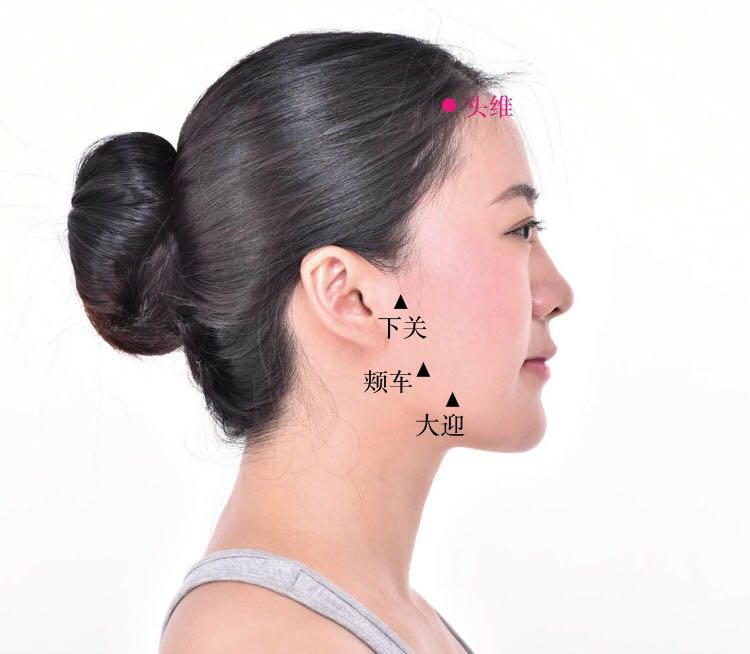 头维的证治纲要与定位图解