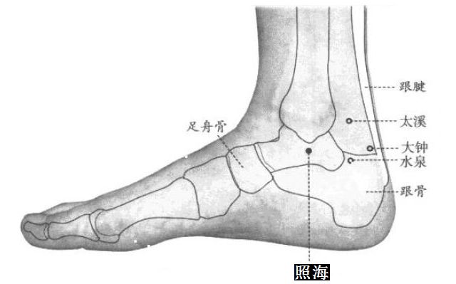 照海的证治纲要与定位图解