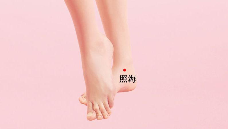 照海的证治纲要与定位图解