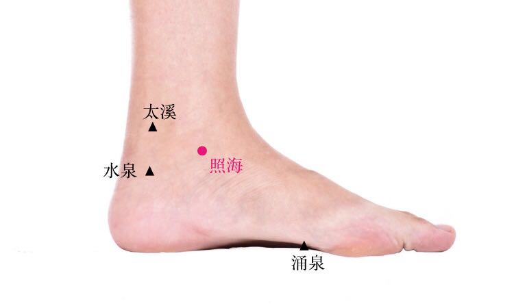 照海的证治纲要与定位图解