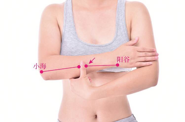 支正的证治纲要与定位图解