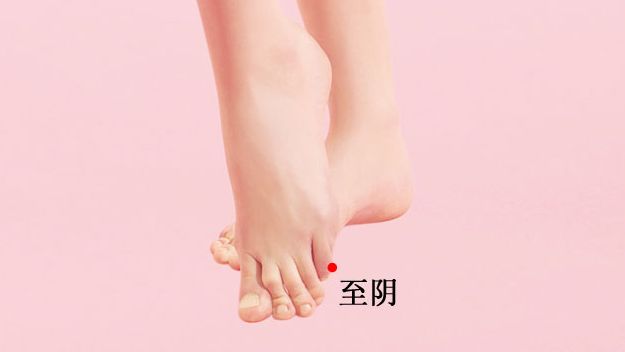 至阴的证治纲要与定位图解