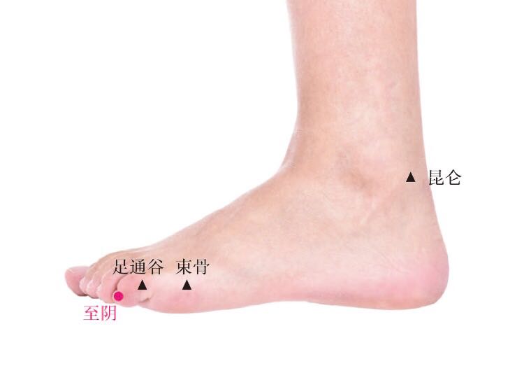 至阴的证治纲要与定位图解