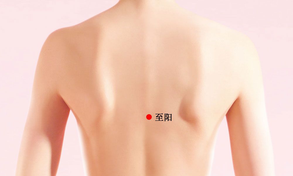 偏头痛的艾灸疗法