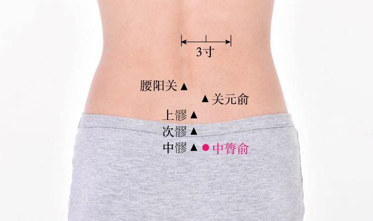 中膂俞的证治纲要与定位图解