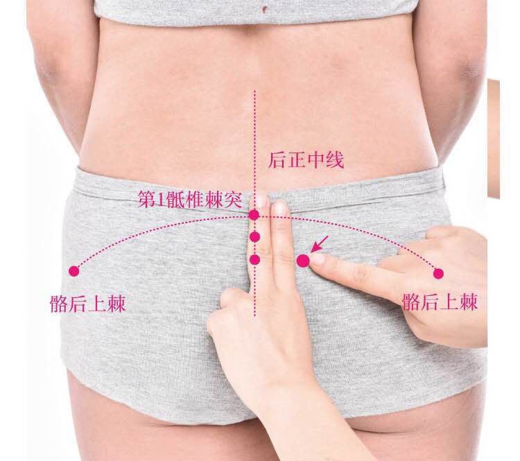 中膂俞的证治纲要与定位图解