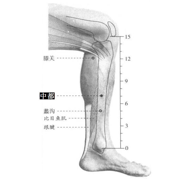 中都的证治纲要与定位图解