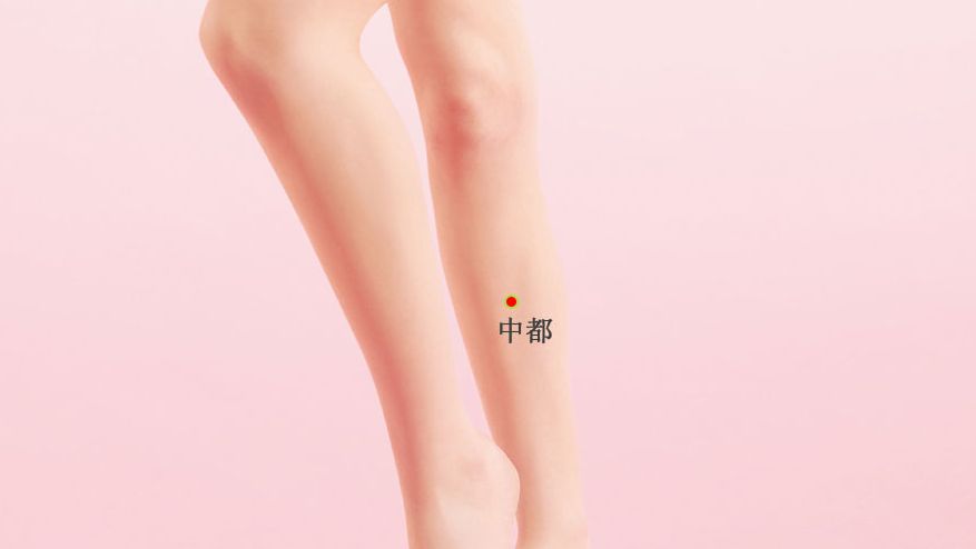 中都的证治纲要与定位图解
