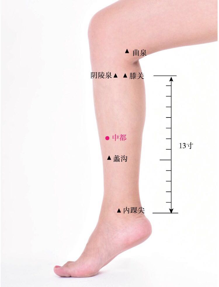 中都的证治纲要与定位图解