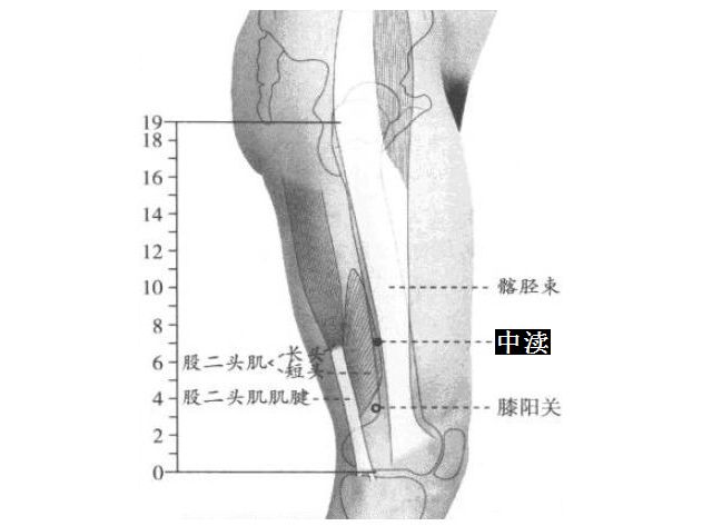 中渎的证治纲要与定位图解