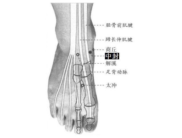 中封的证治纲要与定位图解