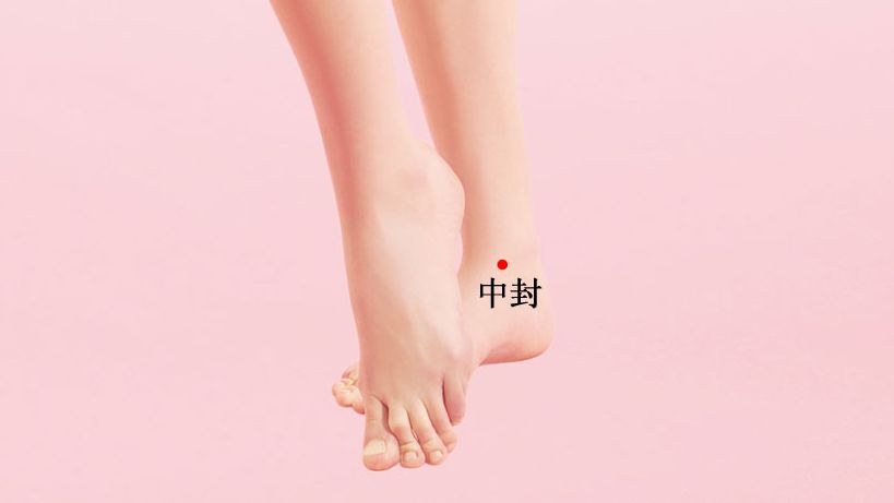 中封的证治纲要与定位图解