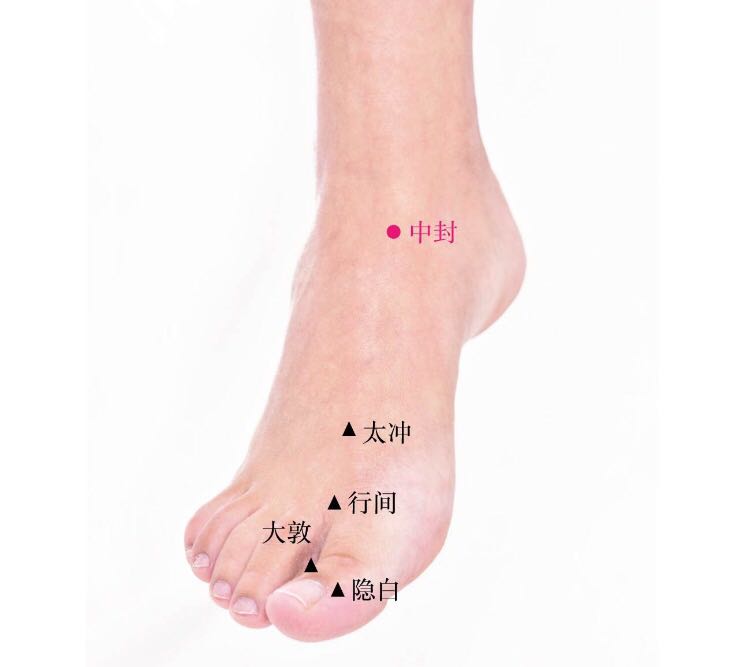 中封的证治纲要与定位图解