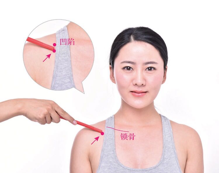 中府的证治纲要与定位图解