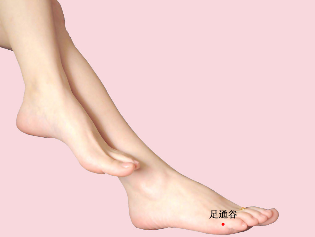 足通谷的证治纲要与定位图解