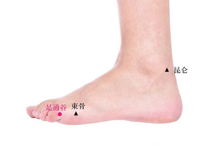 足通谷的证治纲要与定位图解
