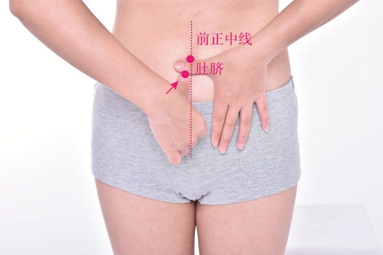 中注的证治纲要与定位图解