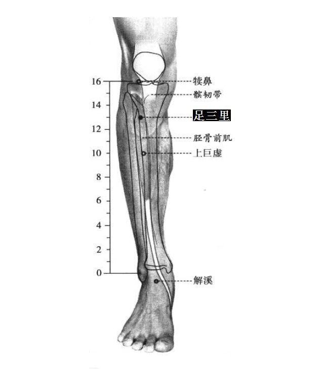 平和体质的日常调理