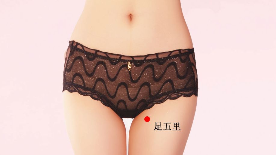 足五里的证治纲要与定位图解