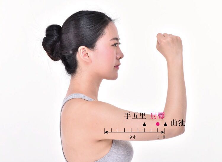 肘髎的证治纲要与定位图解