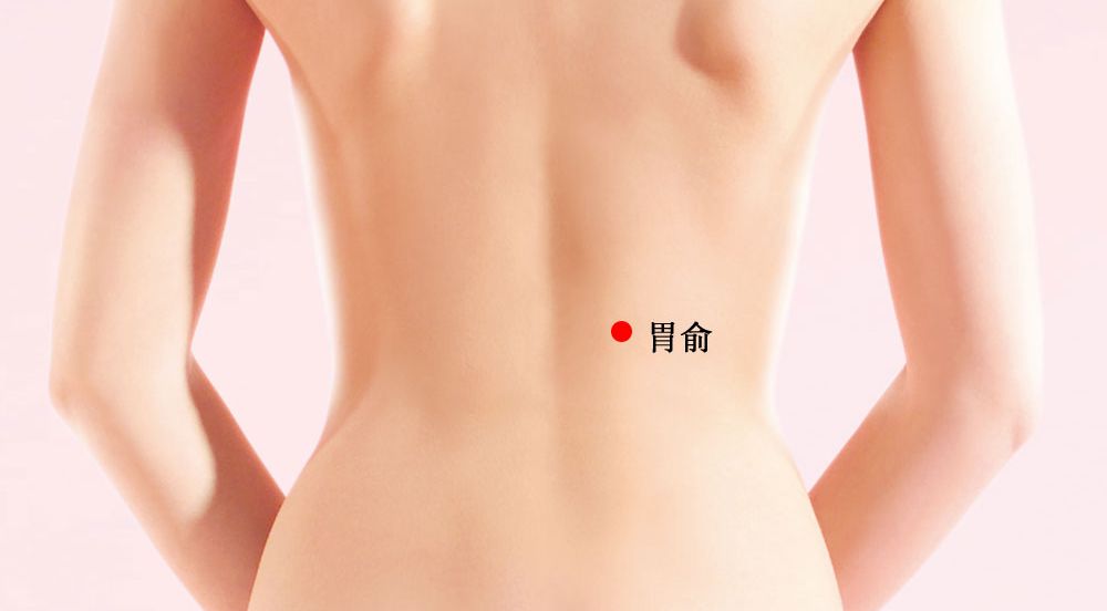 胃俞的证治纲要与定位图解