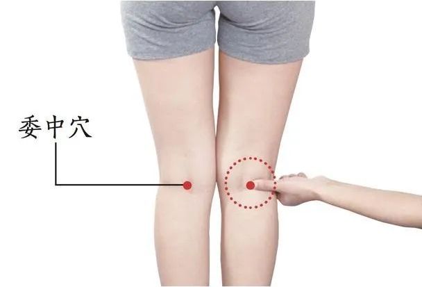 委中的证治纲要与定位图解