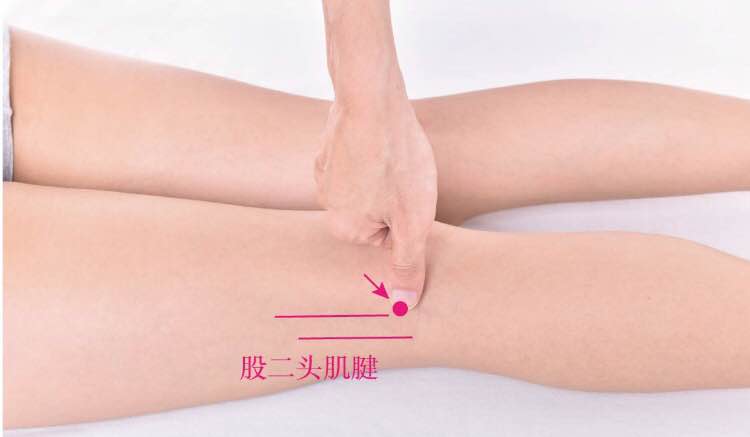 委阳的证治纲要与定位图解