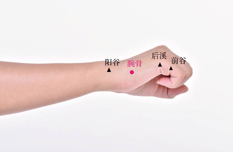 腕骨的证治纲要与定位图解