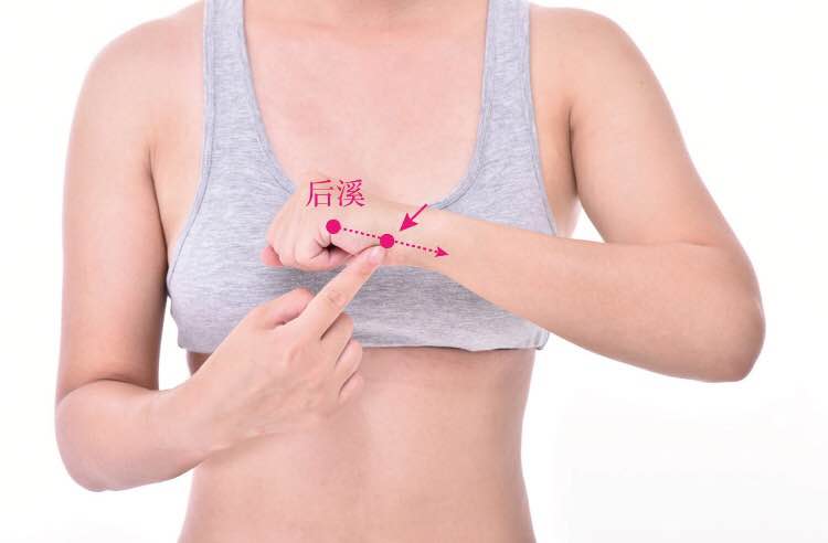 腕骨的证治纲要与定位图解