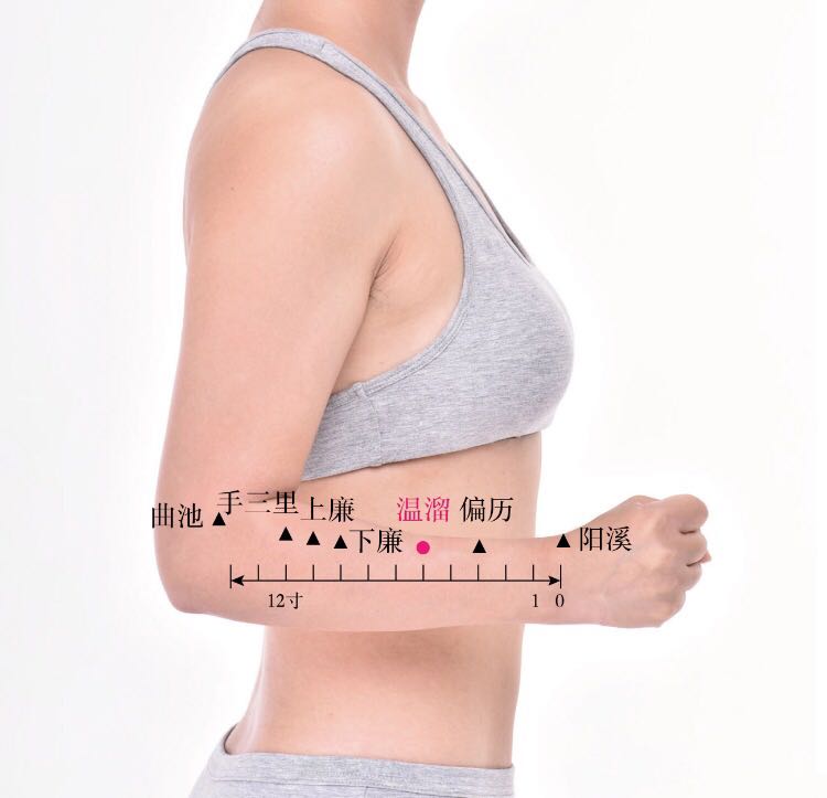 温溜的证治纲要与定位图解
