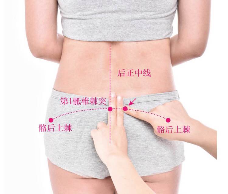 小肠俞的证治纲要与定位图解