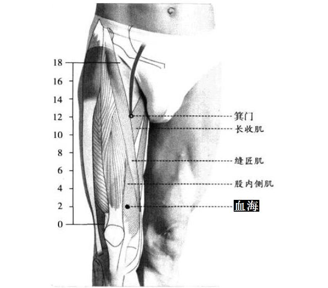 血瘀体质的日常调理