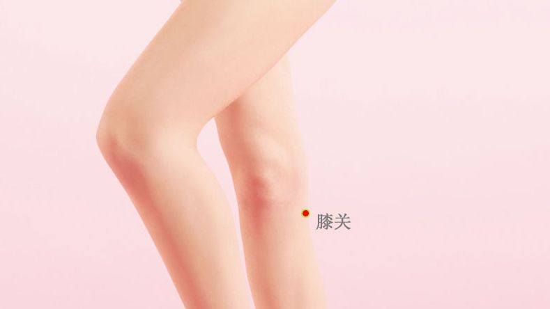 膝关的证治纲要与定位图解