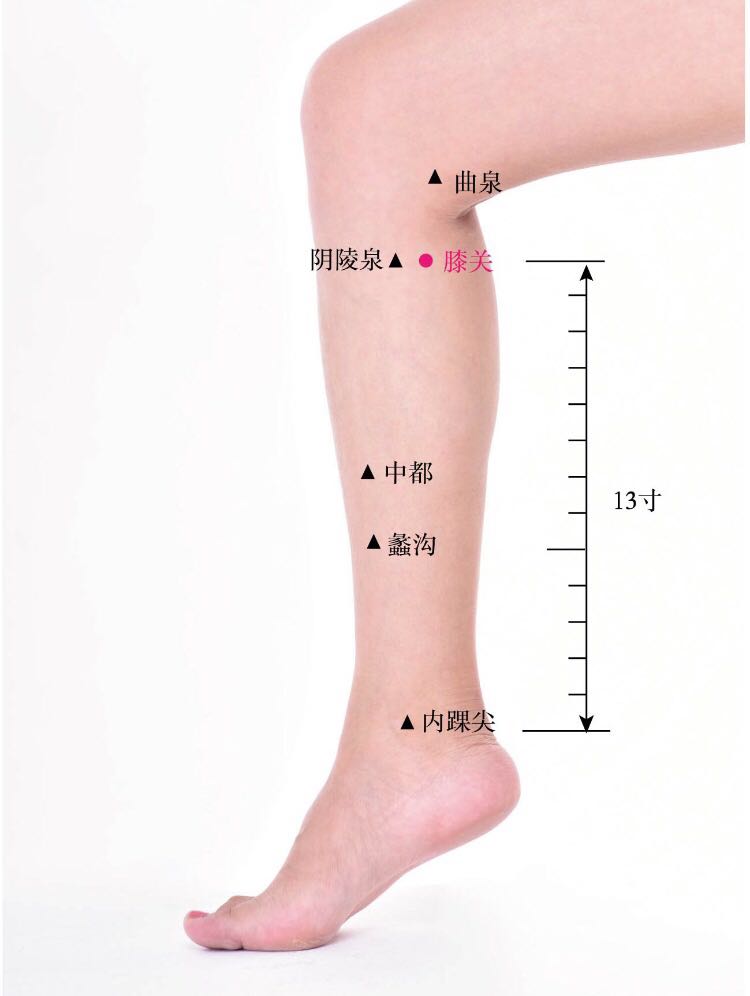 膝关的证治纲要与定位图解