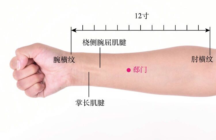 郄门的证治纲要与定位图解