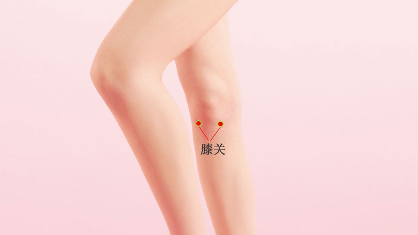 膝眼的证治纲要与定位图解