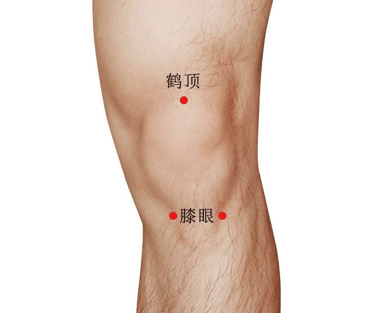 膝眼的证治纲要与定位图解