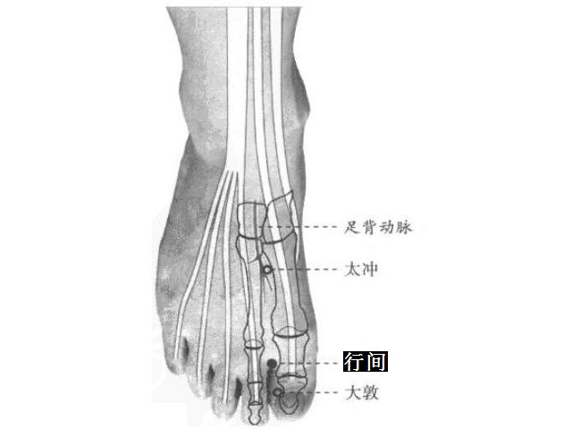 行间的证治纲要与定位图解