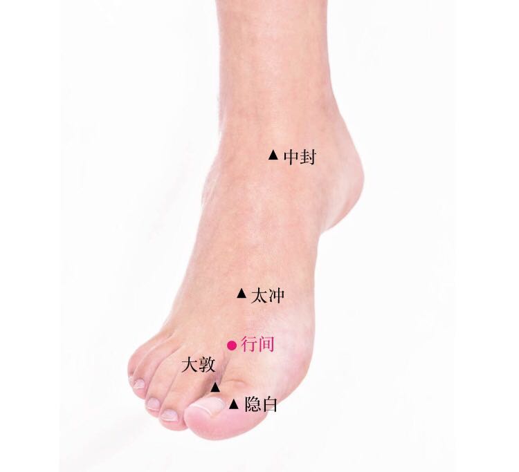 行间的证治纲要与定位图解