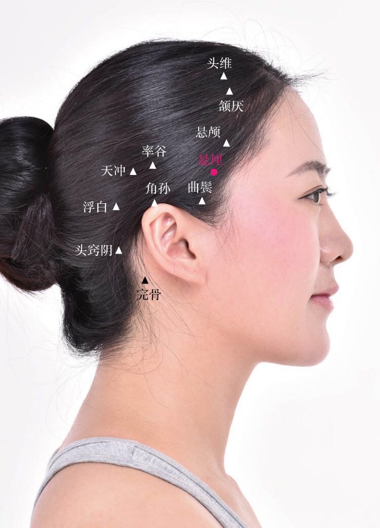 悬厘的证治纲要与定位图解