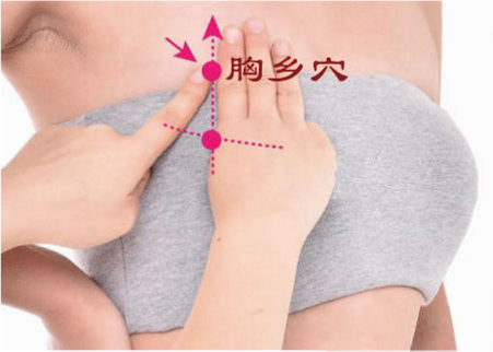 胸乡的证治纲要与定位图解