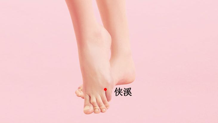 侠溪的证治纲要与定位图解
