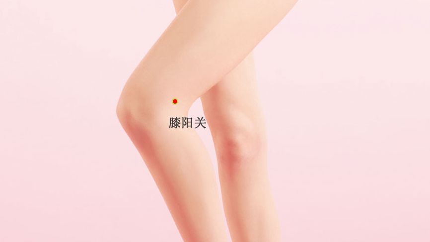 膝阳关的证治纲要与定位图解