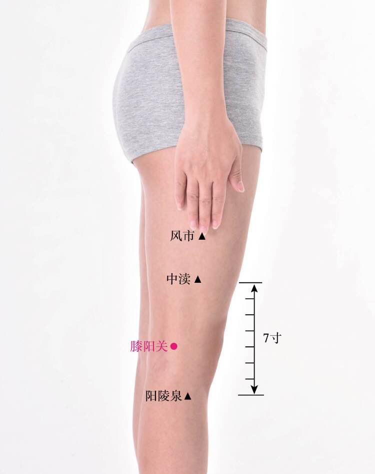 膝阳关的证治纲要与定位图解