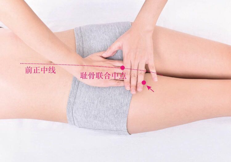 阴廉的证治纲要与定位图解