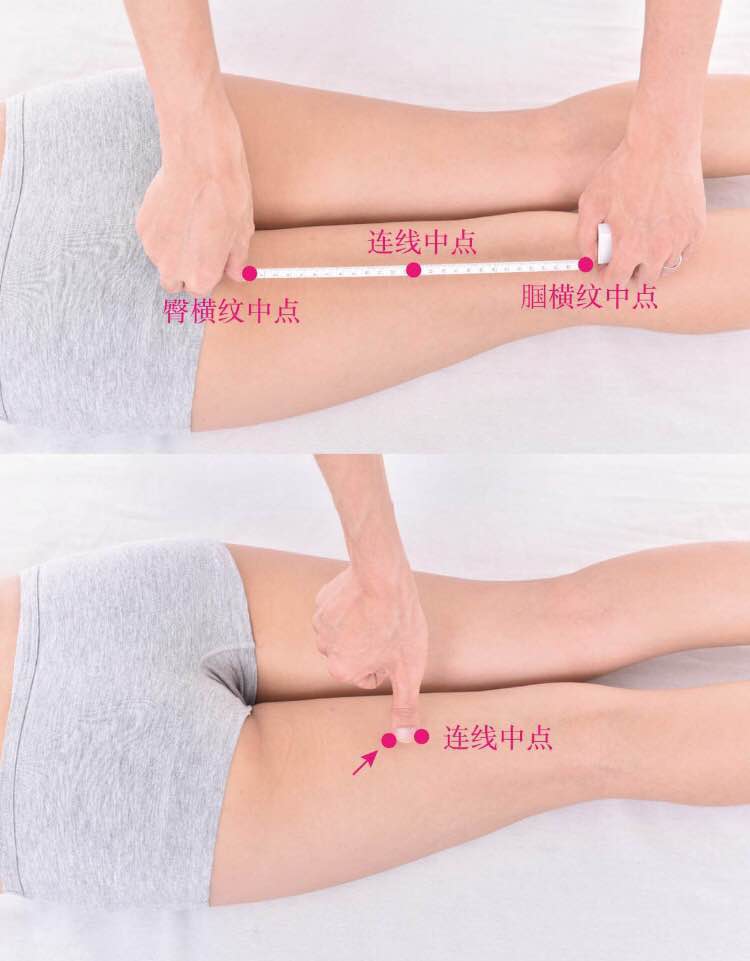 殷门的证治纲要与定位图解