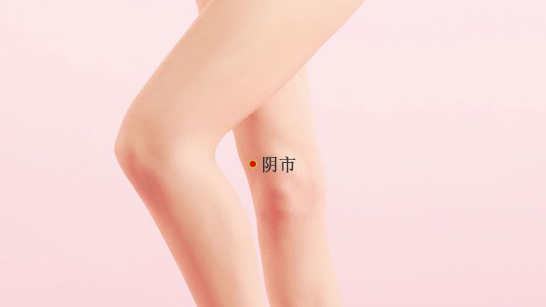 阴市的证治纲要与定位图解