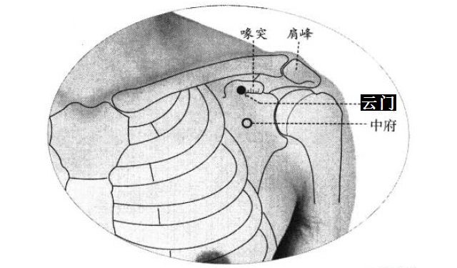 云门的证治纲要与定位图解