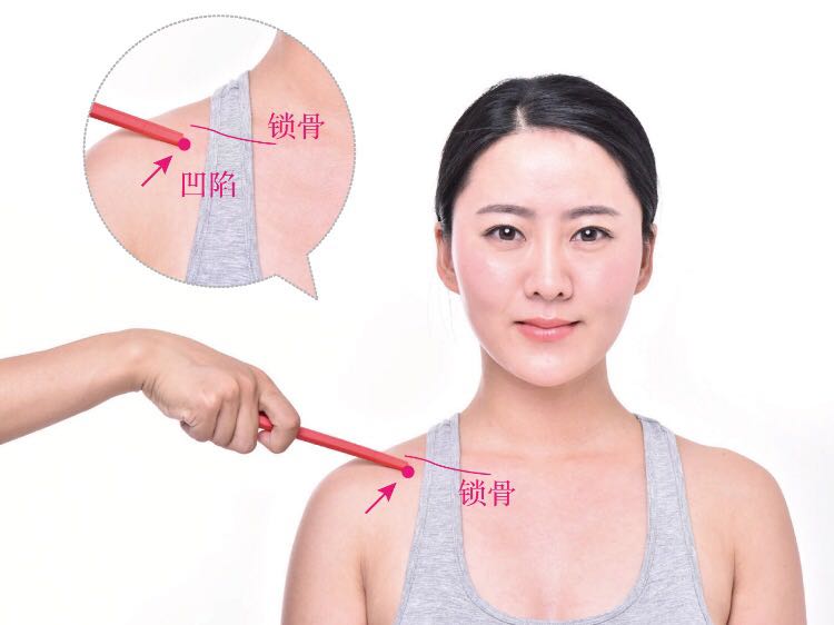 云门的证治纲要与定位图解