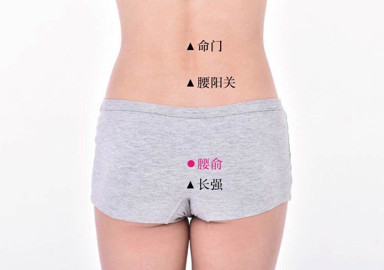 腰俞的证治纲要与定位图解